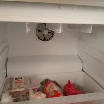 Yeni Alınan Vestel Buzdolabında Kırık Ve Yırtık Şoku: Garanti Mağduriyeti