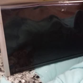 Kırık Ürün Teslimatı Ve Mağduriyetimin Giderilmemesi