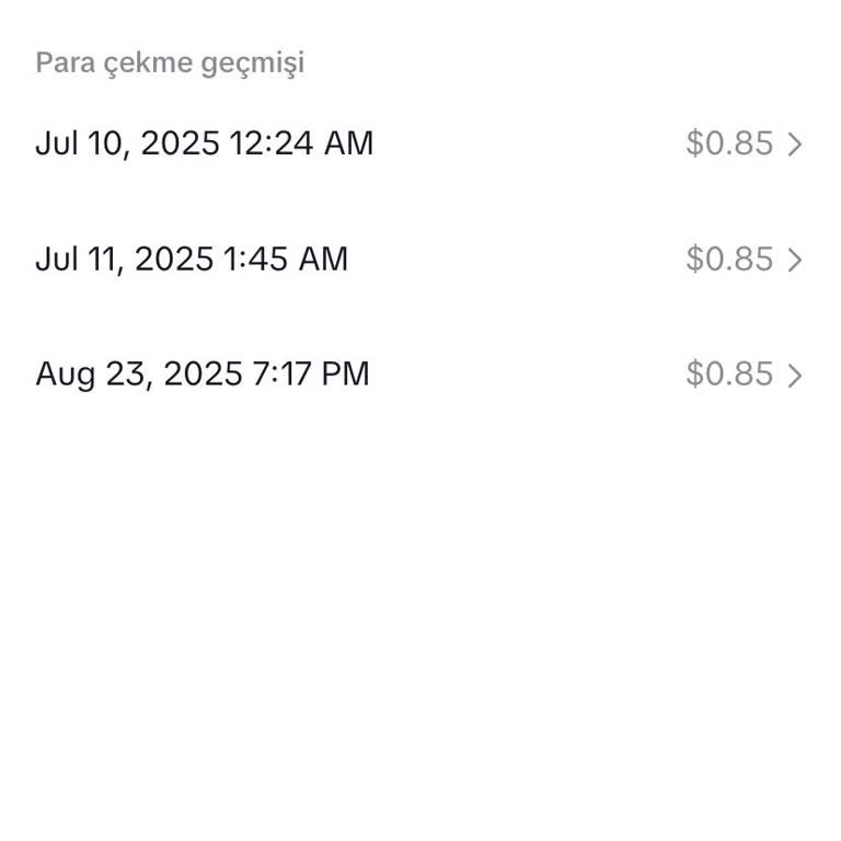 TikTok Reklam Ödemesi Sonrası İade Sorunu Ve Destek Eksikliği