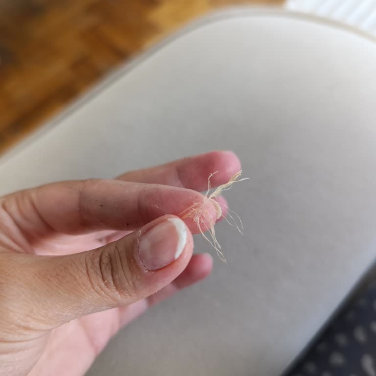 Burger Zamanı Tavuk Döner Siparişimde Büyük Tüy Çıktı, Hijyen Ve Güven Talep Ediyorum