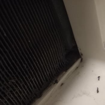 Vestel Kurutma Makinesi Çamaşırları Kurutmuyor, Su Akıtıyor Ve Kötü Koku Yapıyor