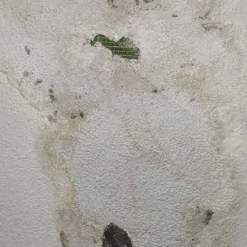 Silivri Ayka İnşaat Hataları...