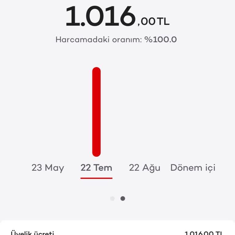 Axess Kredi Kartıma Yansıtılan Aidatın İadesi Ve Geri Dönüş Sorunu