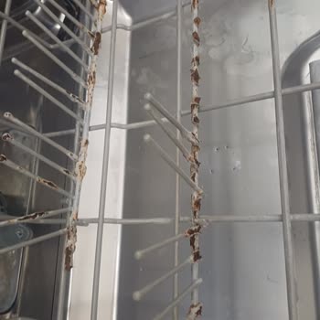 Bulaşık Makinesi Sepetinde Paslanma ve Kullanım Sorunu