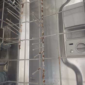 Bulaşık Makinesi Sepetinde Paslanma ve Kullanım Sorunu