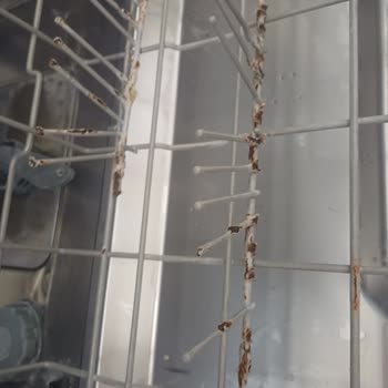 Bulaşık Makinesi Sepetinde Paslanma ve Kullanım Sorunu