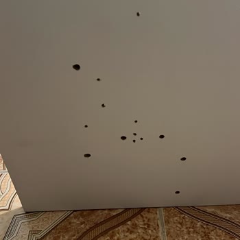 Uysallar Home Sürekli Oyalıyor