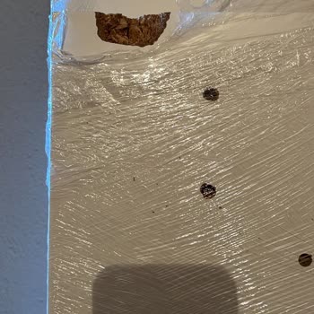 Uysallar Home Sürekli Oyalıyor