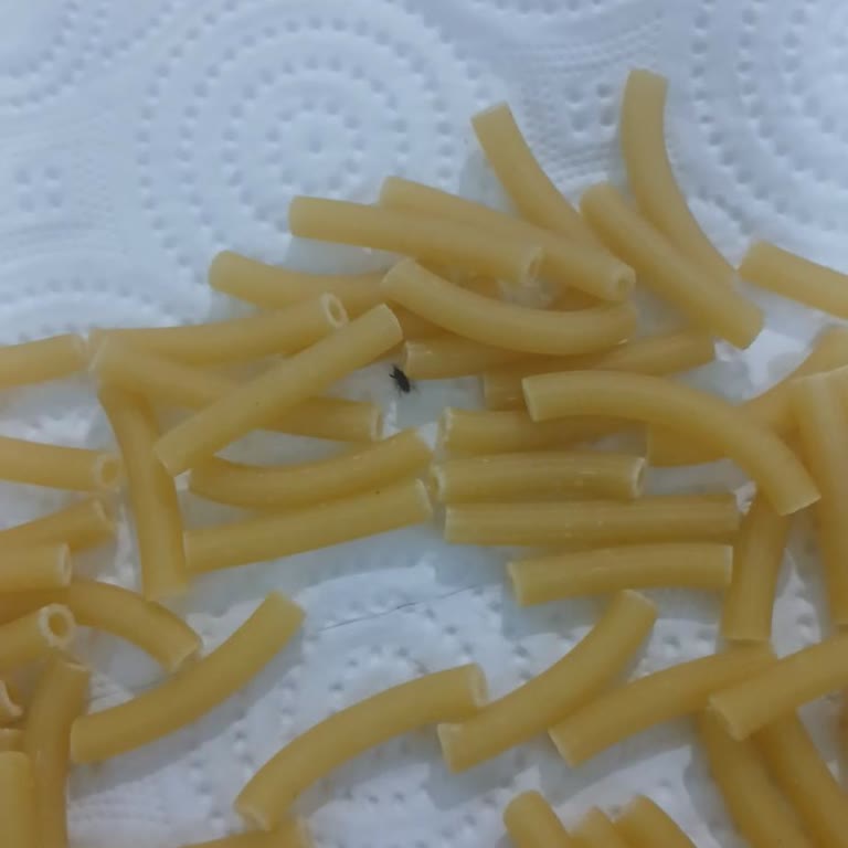 Migros Sanal Marketten Aldığım Makarnada Tekrar Böcek Çıktı