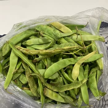 Migros'tan Tekrar Bozuk Fasulye Teslimatı Hayal Kırıklığı Yaşadım