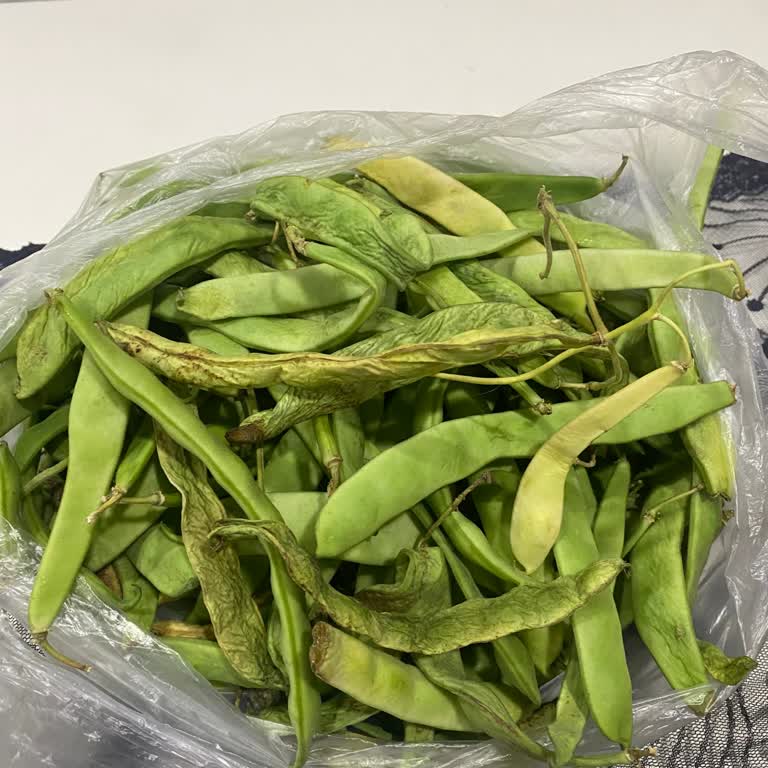 Migros'tan Tekrar Bozuk Fasulye Teslimatı Hayal Kırıklığı Yaşadım