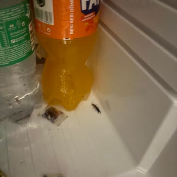 Turan Prince Hotel'de Hijyen Ve Hizmet Sorunları, Para İadesi Talebi