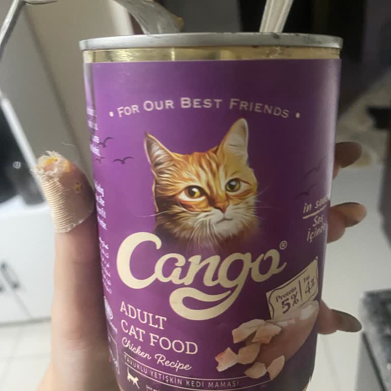 Kedi Mamasından Böcek Çıkması Ve Kötü Koku Şok Etti