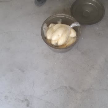 Yeni Alınan Derin Dondurucu Arızası Nedeniyle Büyük Maddi Zarar Ve İlgisiz Müşteri Hizmetleri