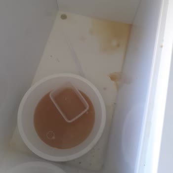 Yeni Alınan Derin Dondurucu Arızası Nedeniyle Büyük Maddi Zarar Ve İlgisiz Müşteri Hizmetleri