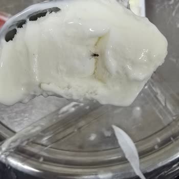 Dondurmanın İçinde Sinek Buldum Hijyen Sorunu Yaşadım