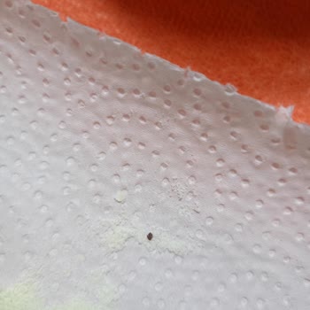 Evolvia Nutri 3 Mamanın İçinde Siyah Yabancı Maddeler Çıktı, Endişeliyim