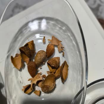 Karışık Çerez Paketinde Küf Ve Kurtçuk Şoku!