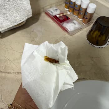 Odamızda Hamam Böcekleri Ve Hijyen Sorunları Nedeniyle Tatilimiz Zehir Oldu