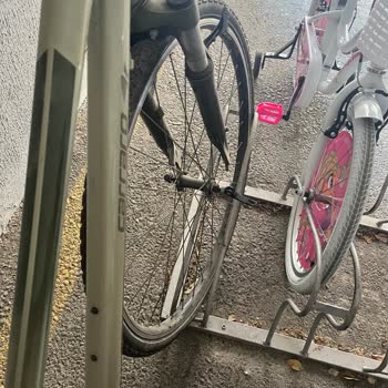 Site Yönetiminin İlgisizliği Nedeniyle Bisiklet Park Alanında Yaşanan Güvenlik Sorunu Ve Mağduriyet