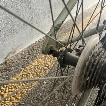 Site Yönetiminin İlgisizliği Nedeniyle Bisiklet Park Alanında Yaşanan Güvenlik Sorunu Ve Mağduriyet