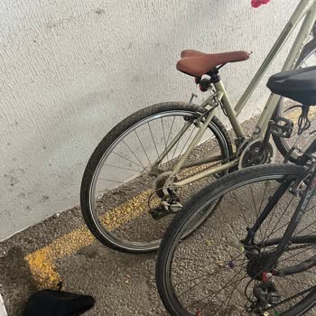 Site Yönetiminin İlgisizliği Nedeniyle Bisiklet Park Alanında Yaşanan Güvenlik Sorunu Ve Mağduriyet