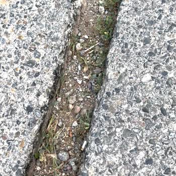 Ulaştırma Bakanlığı Yol Kusuru Nedeniyle Yaşanan Kaza Ve Hatalı Tutanak Mağduriyeti