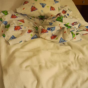 Rezervasyona Uygun Ve Temiz Yatak Sağlanmaması Nedeniyle Kötü Konaklama Deneyimi