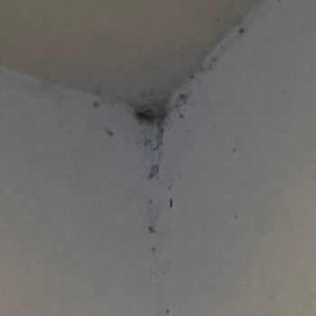 Otel Odası Hijyen Ve Koşulları Beklentilerin Çok Altında, Ücret İadesi İstiyorum