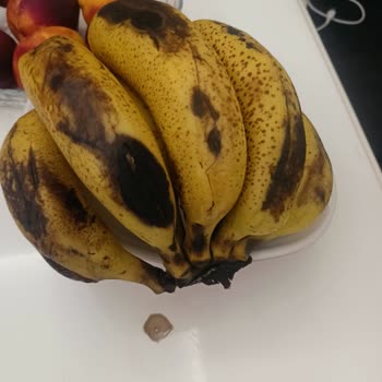 Ezilmiş Ve Bozuk Meyve Teslimatı Sonrası Çözüm Sağlanmıyor