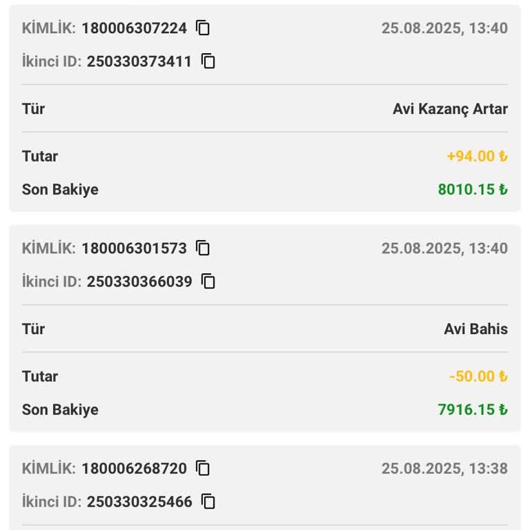 Siteye Üyelik Sonrası Para Kaybı Ve Destek Eksikliği