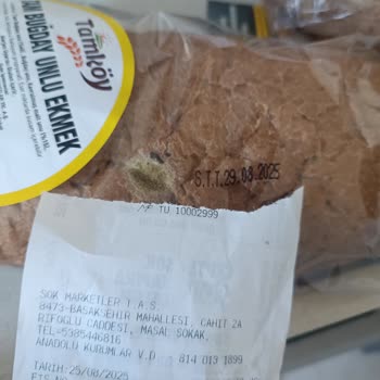 Şok Marketler Aldığım Ekmek Bir Gün İçinde Küflendi Sağlığımız Tehlikede