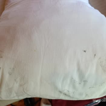 Hijyen Ve Güvenlik Sorunları Nedeniyle Tatil Hayal Kırıklığına Dönüştü