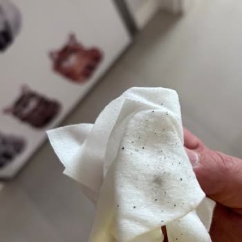 Kullanılmadan Çürüyen Samsonite Sırt Çantası Ve Müşteri Hizmetleri Hayal Kırıklığı