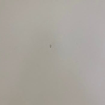 Teslim Edilen Gardıropta Kusurlar Ve İlgisiz Müşteri Hizmeti