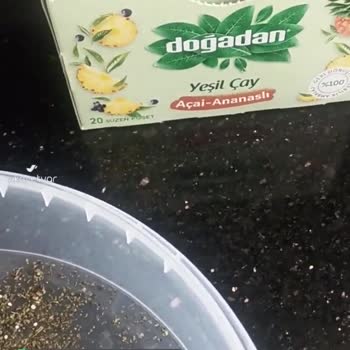 Doğadan Çaydan Beyaz Noktalar Çıktı!