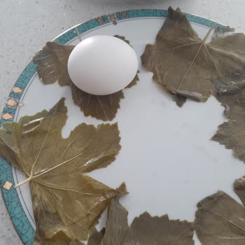 Sipariş Verdiğim Asma Yaprağı Beklentimi Karşılamadı