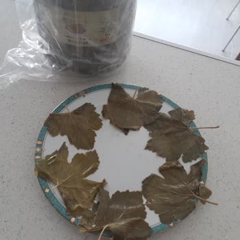 Sipariş Verdiğim Asma Yaprağı Beklentimi Karşılamadı