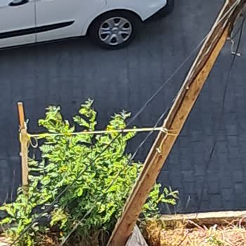 Tehlikeli Şekilde Yamulan İnternet Direğine Acil Müdahale Bekliyorum