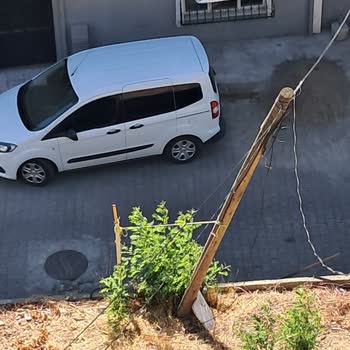 Tehlikeli Şekilde Yamulan İnternet Direğine Acil Müdahale Bekliyorum