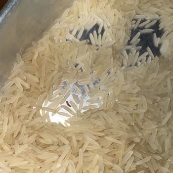 Satın Aldığım Hasata Basmati Pirincinden Kurt Çıktı, Müşteri Hizmetlerinden Dönüş Alamıyorum