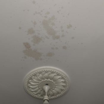 Aldığım Kefir Patladı Evim Ve Eşyalarım Zarar Gördü