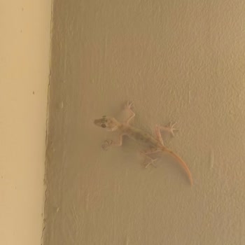 Oda Hijyeni Ve Konaklama Şartları Nedeniyle Tatilbudur Turunda Yaşanan Büyük Mağduriyet