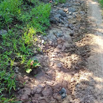 İkizce Belediyesi Şikayeti