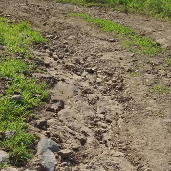 İkizce Belediyesi Şikayeti