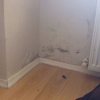 Konut Sigortası Hasar Sürecinde Gecikme Ve İletişimsizlik