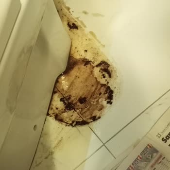 Tadilat Sonrası Sürekli Sorun Ve İlgisizlik!