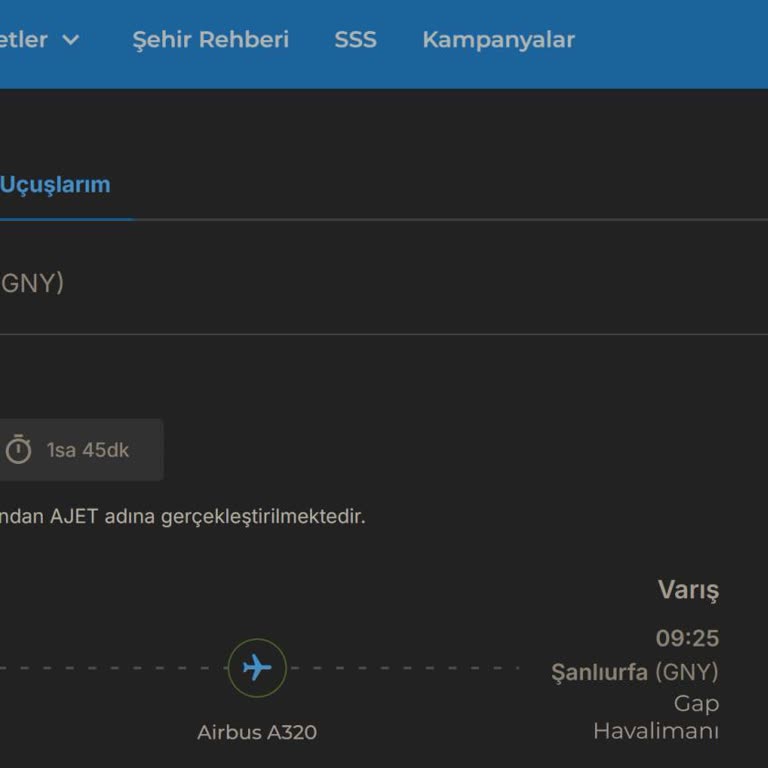 Engelli Yolculara Öncelik Tanınmadı, Uçağa Alınmadık Ve Mağdur Edildik