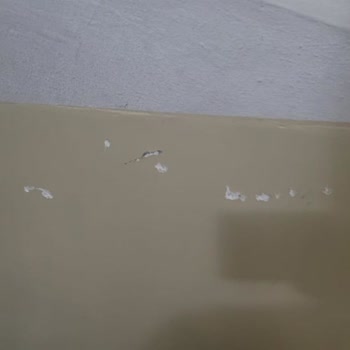 Servis Ekibi Hasar Verdi Müşteri Hizmetleri Sorumluluk Almadı