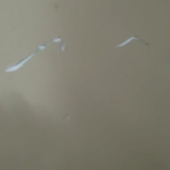 Servis Ekibi Hasar Verdi Müşteri Hizmetleri Sorumluluk Almadı